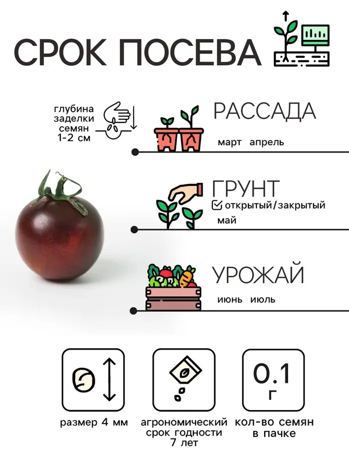 Семена Томат "Черный Мавр", 0,1 г