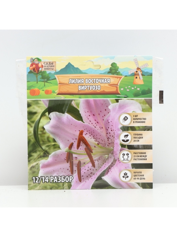 Лилия Восточная Virtuoso, луковица в пакете с перфорацией, р-р 12/14, 3 шт.