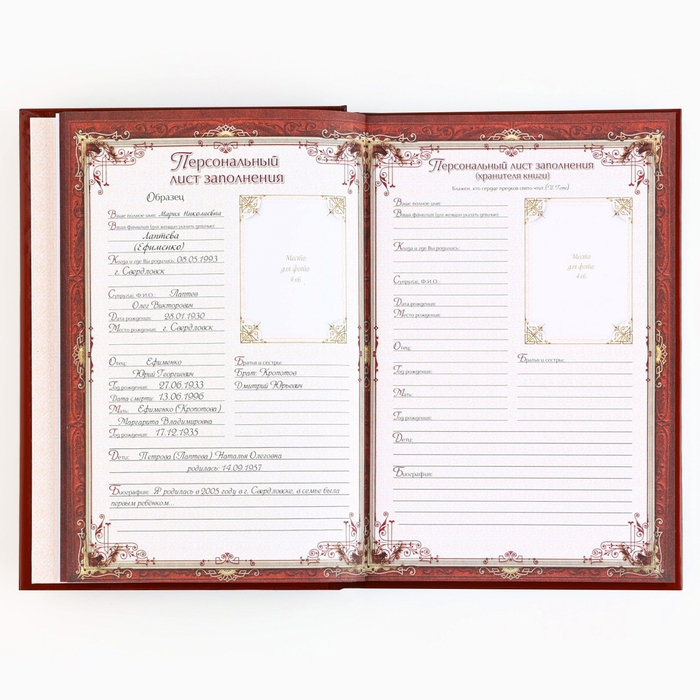 Родословная книга новогодним пояском &laquo;Новый год: Дед мороз&raquo;, 16,5 х 24 см.