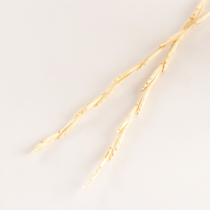 Набор сухоцветов "Райграс", банч 10 шт, длина 25  (+/- 6 см), выбеленный