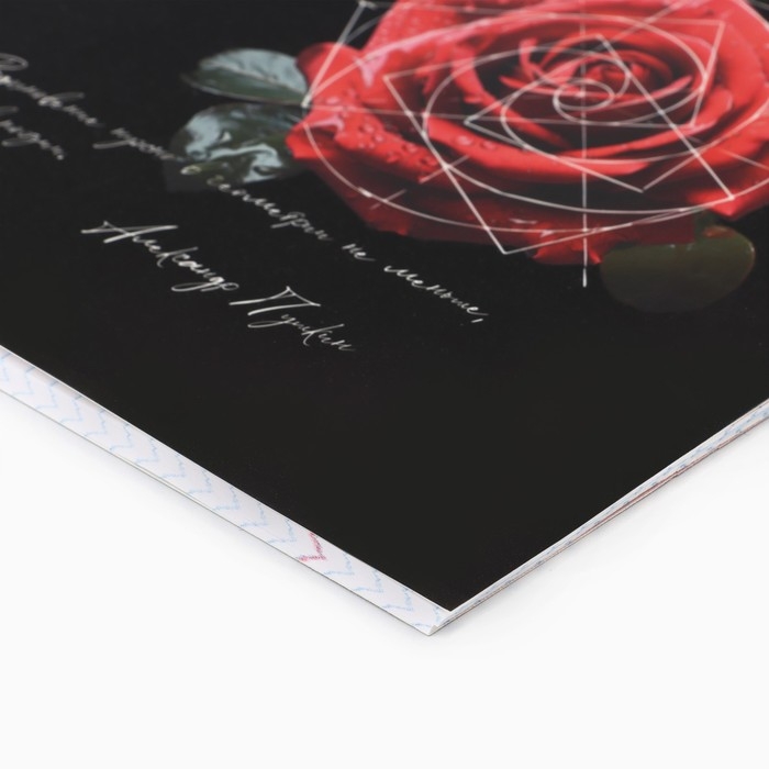 Предметная тетрадь А5, 48 л на скрепке &laquo;Силуэт.Геометрия&raquo; Софт тач лам, уф лак