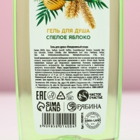 Подарочный набор косметики &laquo;Мечты обязательно сбудутся&raquo;, гель для душа и шампунь для волос, 2 х 250 мл, Новый Год