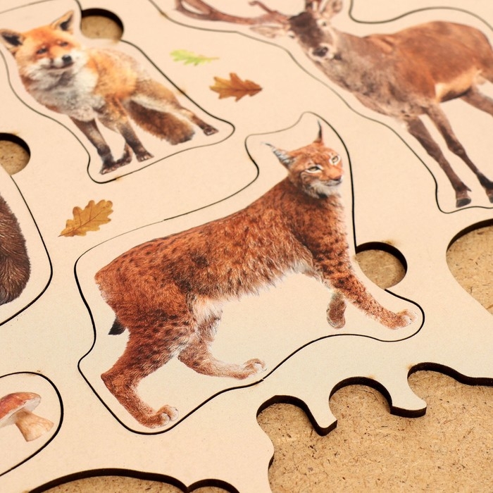 Рамка-вкладыш &laquo;Лесные животные&raquo;