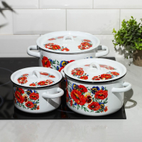 Набор кастрюль &laquo;Маки. Мечта&raquo;, 3 предмета: 1,5 л, 2,9 л, 4,5 л, индукция