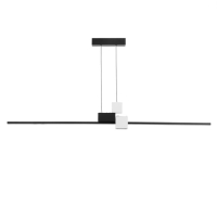 Светильник с ПДУ "Наоми" LED 20Вт 3000-6000К бело-черный 120х100 см