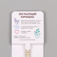 Растущие подарочные карандаши mini "Маргаритка"