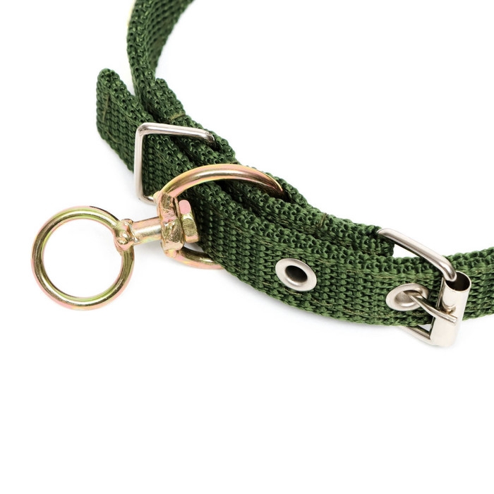 Ошейник двухслойный с вертлюгом, 2 см, зелёный Ошейник двухслойный с вертлюгом, 2 см, зелёный