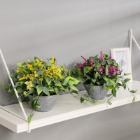 Бонсай в горшке "Лиана и мелкие цветочки" 11х16 см, микс