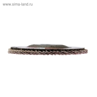 Круг лепестковый торцевой ЛОМ, 115 х 22 мм, Р80