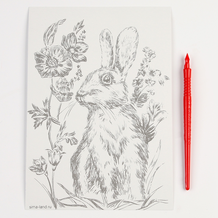 Гравюра. Набор гравюр &laquo;Звери&raquo;, А5, 4 шт