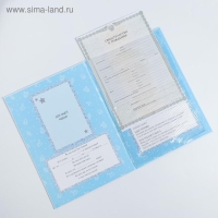 Папка для свидетельства о рождении &laquo;Мои первые документы&raquo;, для мальчика, А4