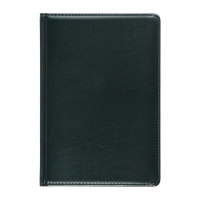 Телефонная книга А5, 64 листа deVENTE. Bravo, твердая обложка из искусственной кожи с поролоном, блок 70 г/м2, зелёный Телефонная книга А5, 64 листа deVENTE. Bravo, твердая обложка из искусственной кожи с поролоном, блок 70 г/м2, зелёный