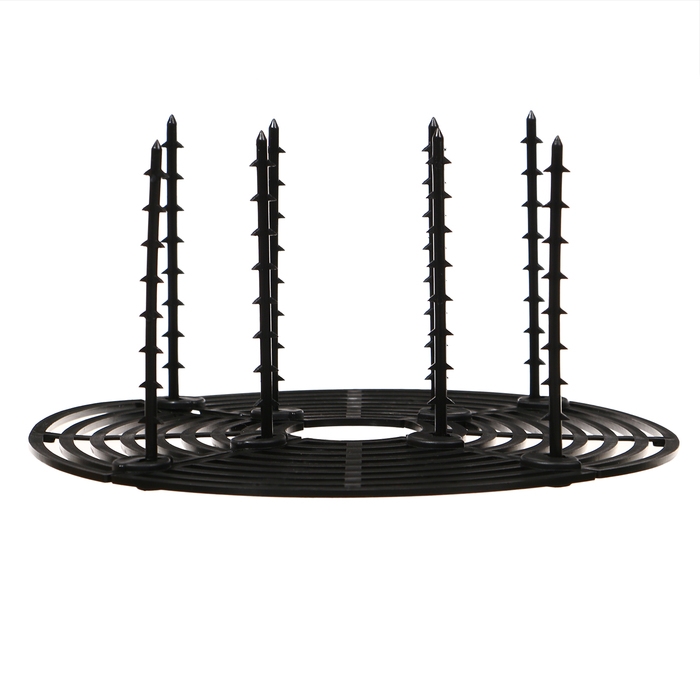 Защитная решётка для комнатных растений, от кошек, d = 30 см, пластик Защитная решётка для комнатных растений, от кошек, d = 30 см, пластик