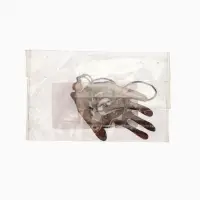 Украшение "Ладонь со спиралью" дерево соно