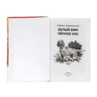 Внеклассное чтение. Белый Бим Чёрное ухо. Автор: Троепольский Г.
