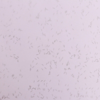 Пленка для цветов "Звездная ночь", 58 см х 5 м светло голубой