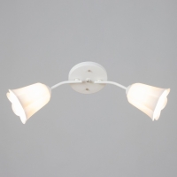 Люстра "Онлайн" (цветок) 2х15Вт Е27 МОДЕЛЬ: BR 00196 белый Люстра "Онлайн" (цветок) 2х15Вт Е27 МОДЕЛЬ: BR 00196 белый