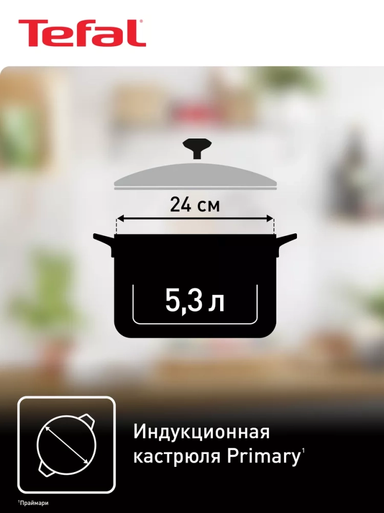 Кастрюля с крышкой Primary 24 см, 5,3 л, с мерной шкалой