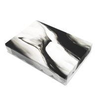 Коробочка для печенья, "Искусство", 22 х 15 х 3 см 5шт