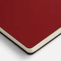 Ежедневник Flex Shall New, недатированный, красный