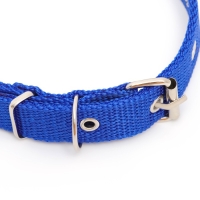 Ошейник клёпаный, 40,5 х 2 см, ОШ 26-34 см, полиэстер, синий Ошейник клёпаный, 40,5 х 2 см, ОШ 26-34 см, полиэстер, синий