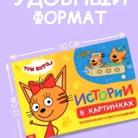 Книга "Истории в картинках. Воображаем и рассказываем", А4, 16 стр., Три кота