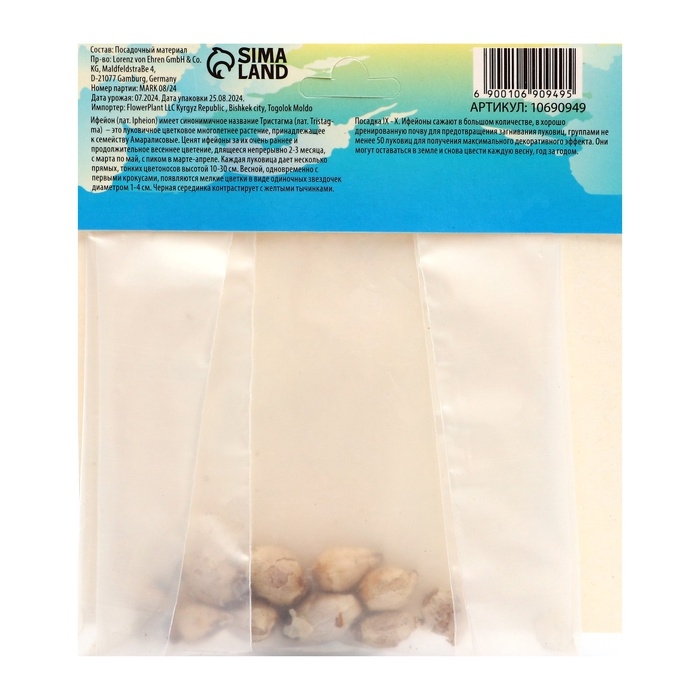 Ифейон Джесси, р-р 4/+, 10 шт, Осень 2024 Ифейон Джесси, р-р 4/+, 10 шт, Осень 2024