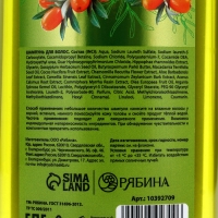 Шампунь для волос, витаминный эликсир, аромат облепихи, 400 мл, Рябина