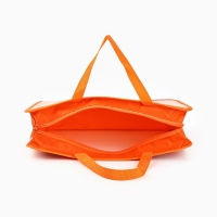 Папка с ручками пластик А4, 75мм 330*260 ПМ-А4-26 Буки Бяки