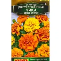 Семена цветов Бархатцы Чика отклоненные, смесь сортов  С. Hem Genetics Золотая серия, Ц/П,7 шт. 1094