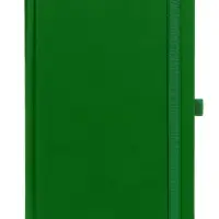 Ежедневник Favor, недатированный, ярко-зеленый