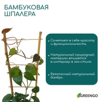 Шпалера, 85 &times; 31 &times; 1 см, бамбук, &laquo;Одинарная&raquo;, Greengo