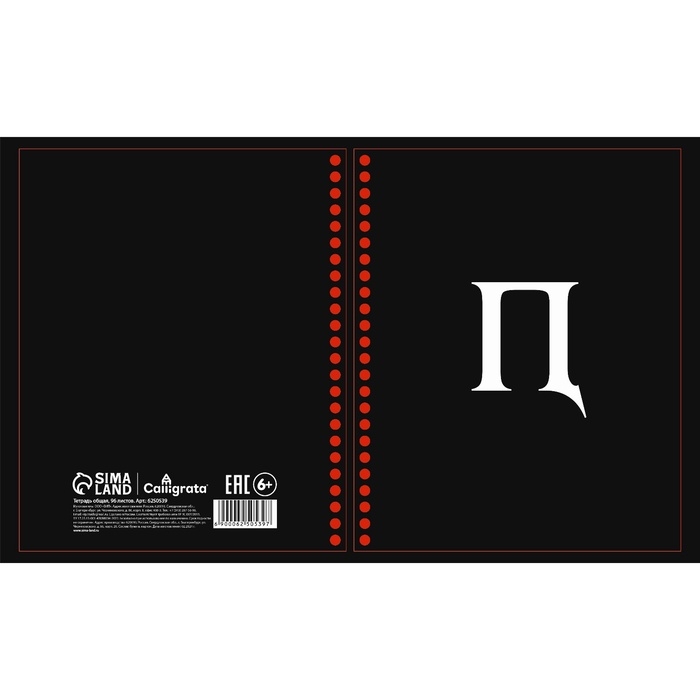 Тетрадь 96 листов в клетку, на гребне &laquo;Русские иероглифы&raquo;, белые листы, МИКС