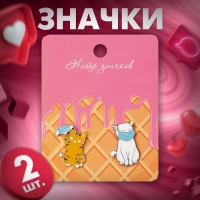 Набор значков (2 шт.) &laquo;Коты&raquo; в масках, цветной в серебре