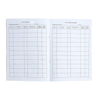 Журнал индивидуального обучения на дому А4, 24 листа, обложка мелованный картон 190 г/м&sup2;, блок офсетная бумага 65 г/м&sup2;