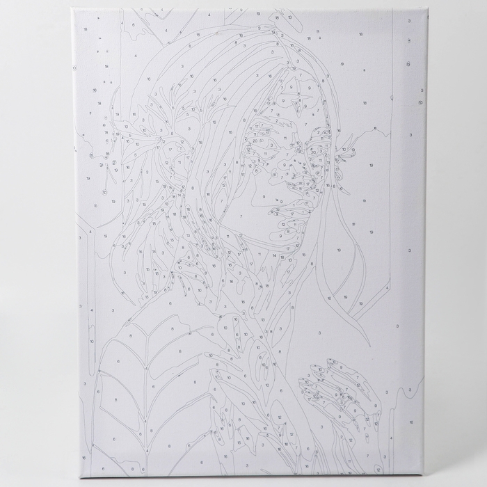 Картина по номерам с подрамником и поталью &laquo;Неизвестная&raquo;, 30 х 40 см