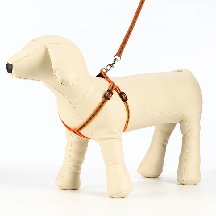 Комплект светоотражающий "Косточки", ошейник 120 х 1 см, ОШ 24-40 см, ОГ 24-40 см оранжевый