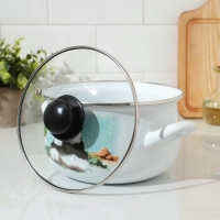 Кастрюля эмалированная &laquo;Панды&raquo;, 3,1 л, стеклянная крышка, индукция