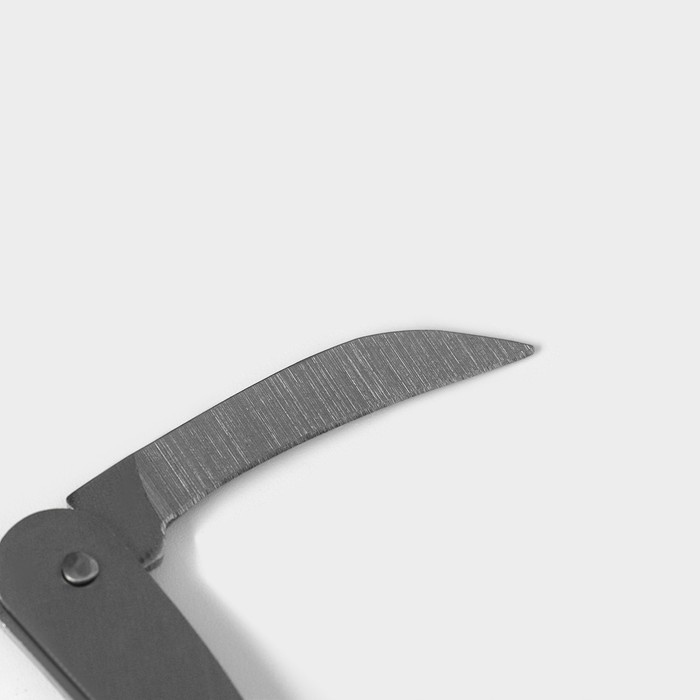 Набор для вина Доляна &laquo;Бутылка&raquo;, 3 предмета: штопор, воронка, кольцо