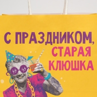 Пакет подарочный, упаковка, &laquo;Клюшка&raquo;, 22 х 22 х 11 см