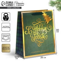 Пакет подарочный новогодний ламинированный &laquo;Сказочного праздника&raquo;, 25,4 х 30,5 х12,7 см, Новый год
