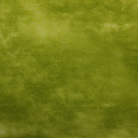Фетр для упаковок и поделок, однотонный, оливковый, двусторонний, зеленый, рулон 1шт., 50 см x 15 м Фетр для упаковок и поделок, однотонный, оливковый, двусторонний, зеленый, рулон 1шт., 50 см x 15 м