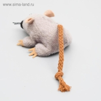 Игрушка для кошек "Грызун", 8,5 см Игрушка для кошек "Грызун", 8,5 см