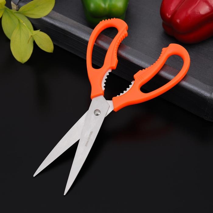 Ножницы кухонные Доляна &laquo;Саймон&raquo;, 23 см, цвет зелёный