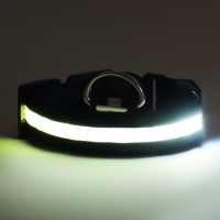 Ошейник с подсветкой размер М, ОШ 40-48 х 2,5 см, 3 режима свечения чёрный