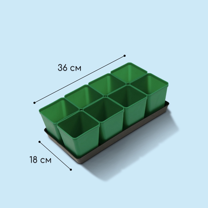 Набор для рассады: стаканы по 600 мл (8 шт.), поддон 36 &times; 18 см, цвет МИКС, Greengo