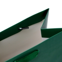 Пакет ламинированный &laquo;Зелёный&raquo;, 18 х 23 х 10 см МИКС