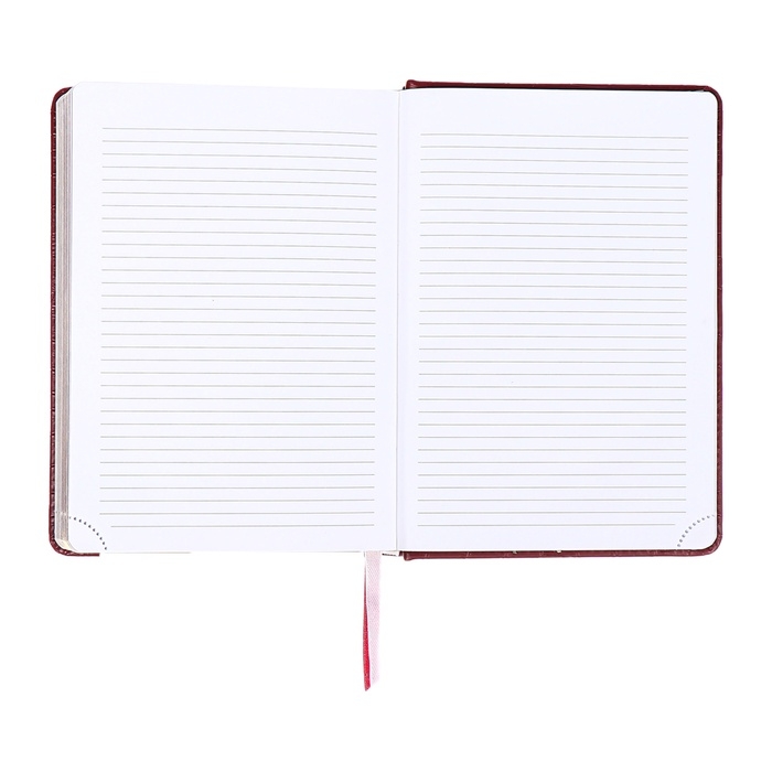 Ежедневник датированный 2025 B6 168 листов, deVENTE. Wild, твердая обложка кожзам с поролоном, перфорация, ляссе, блок 70, бордо Ежедневник датированный 2025 B6 168 листов, deVENTE. Wild, твердая обложка кожзам с поролоном, перфорация, ляссе, блок 70, бордо