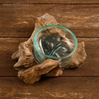 Вазон стекло на коряге "Блюдо" 15х15х8 см