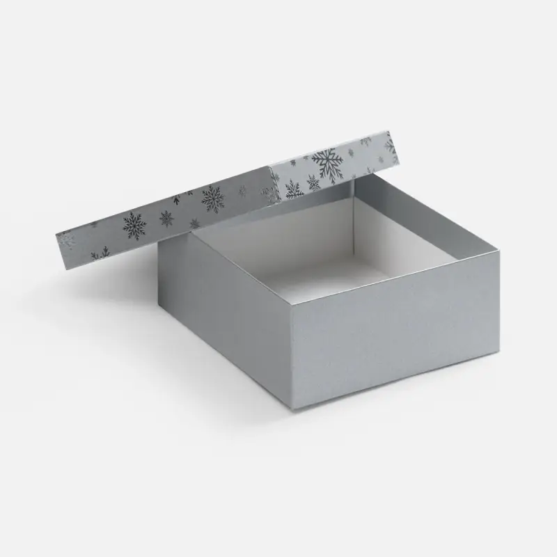 Коробка Wintry, серебристая